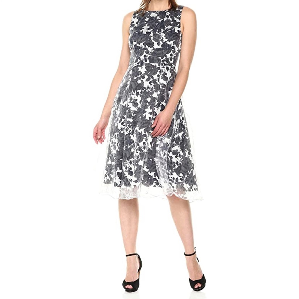 Adrianna Papell Alyssa Organza Fit and Flare